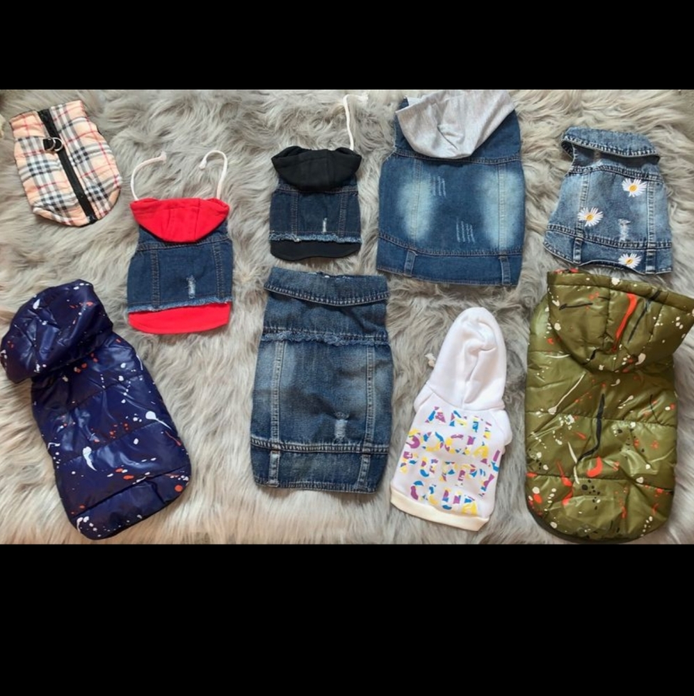 Mixed Dog Clothing Lit